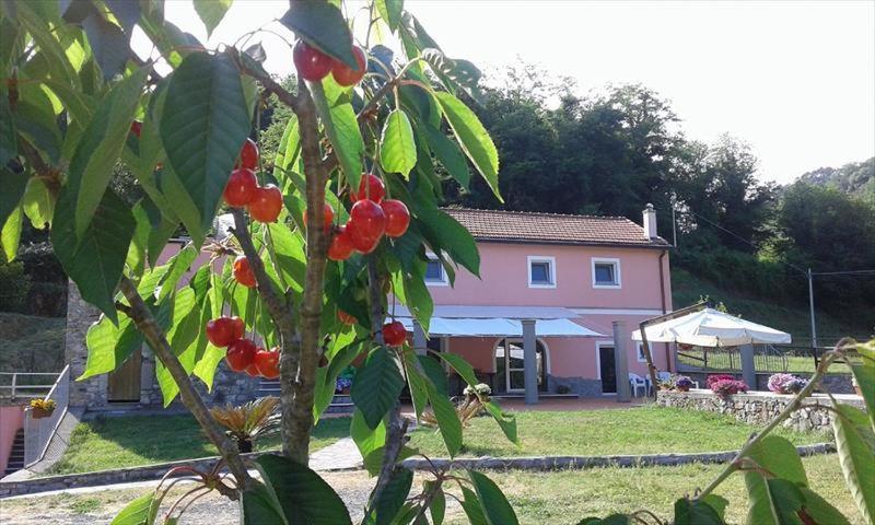 B&B La Casina Rosa La Spezia Valeriano Lunense Экстерьер фото