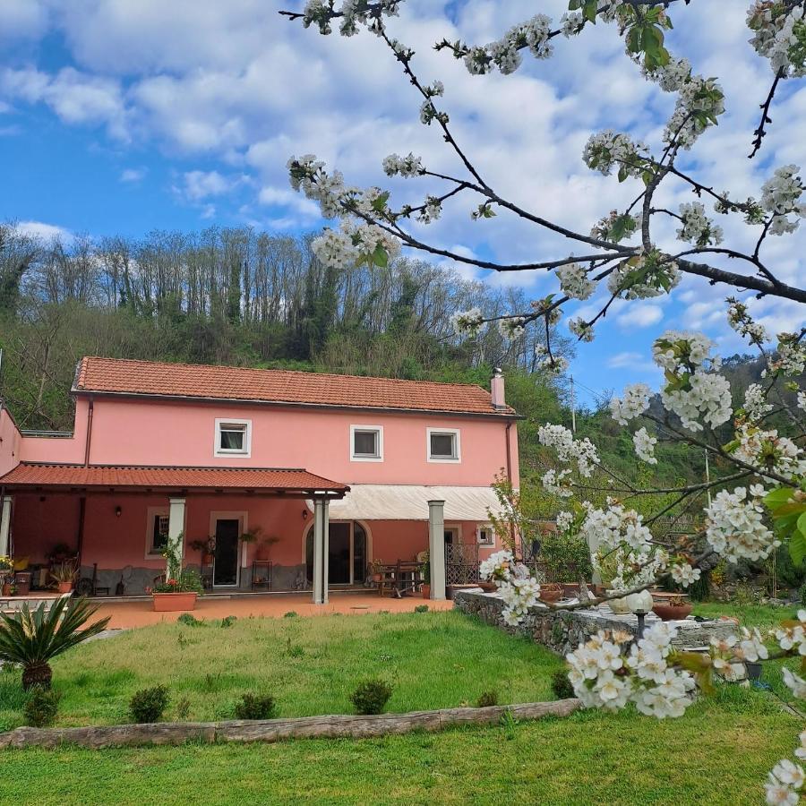 B&B La Casina Rosa La Spezia Valeriano Lunense Экстерьер фото